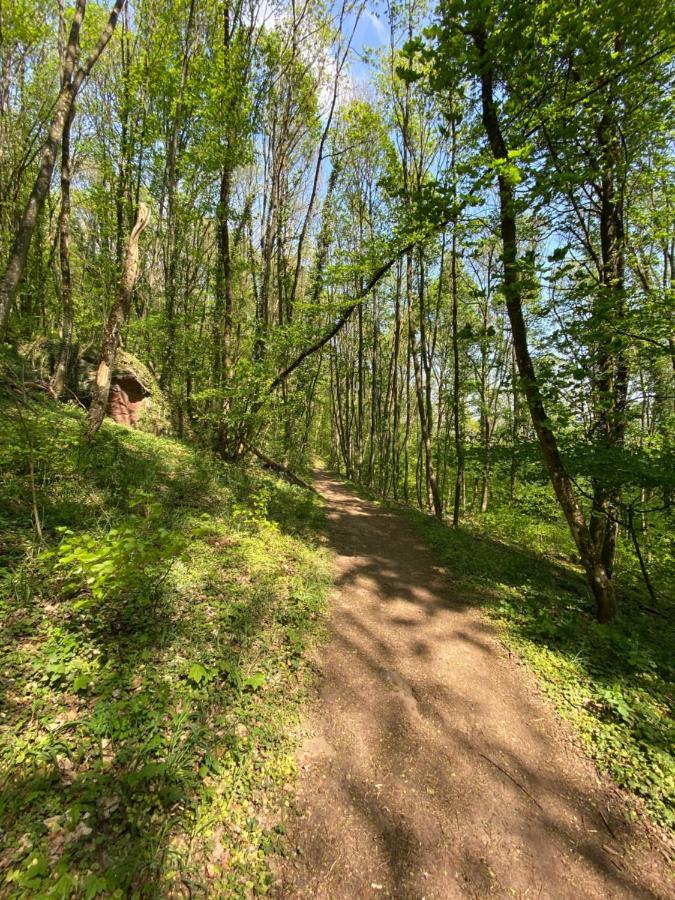 Ferienwohnungen Annweiler Am Trifels Exterior foto